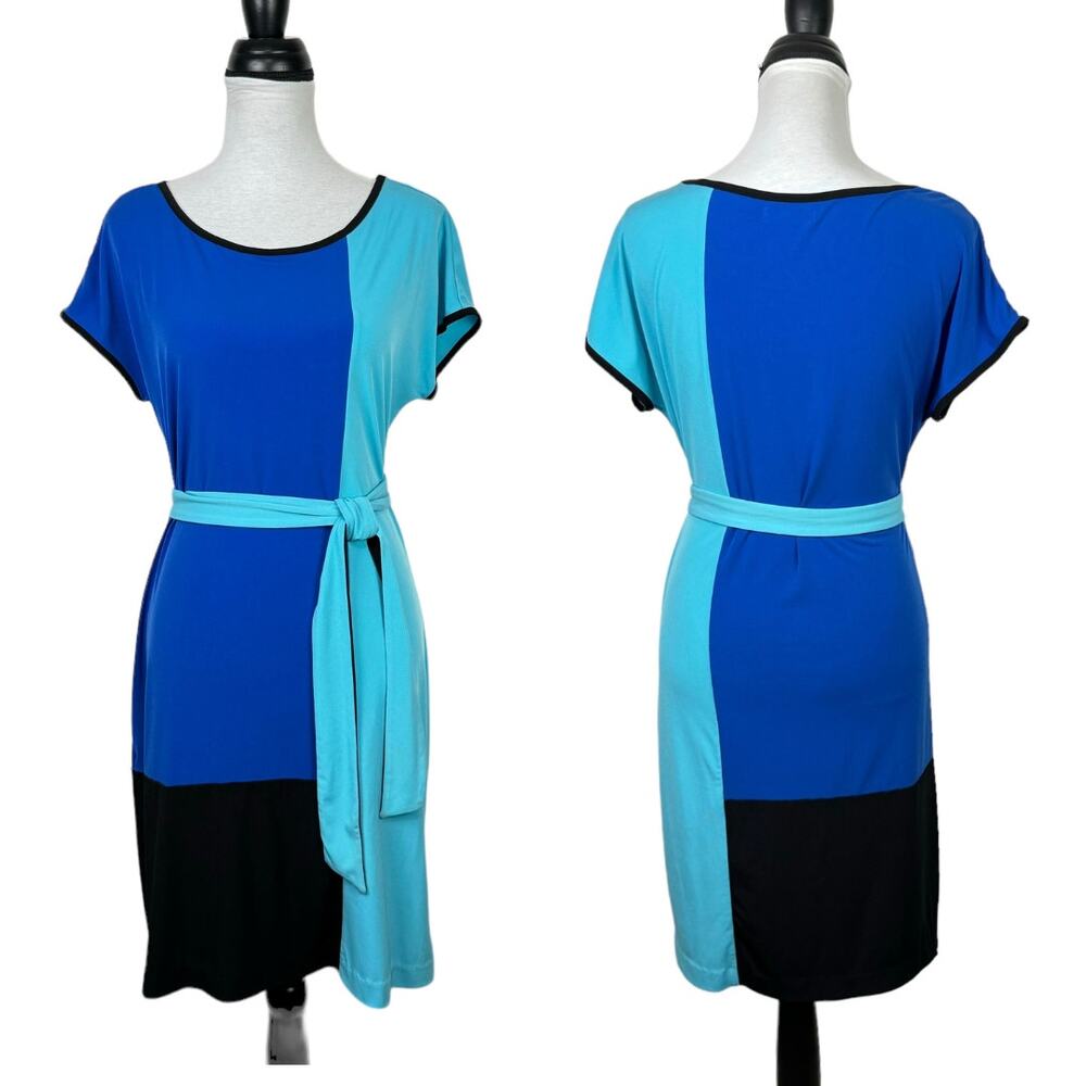 Calvin Klein Blue Colorblock Short Sleeve Belted Spandex Pullover Shift Dress